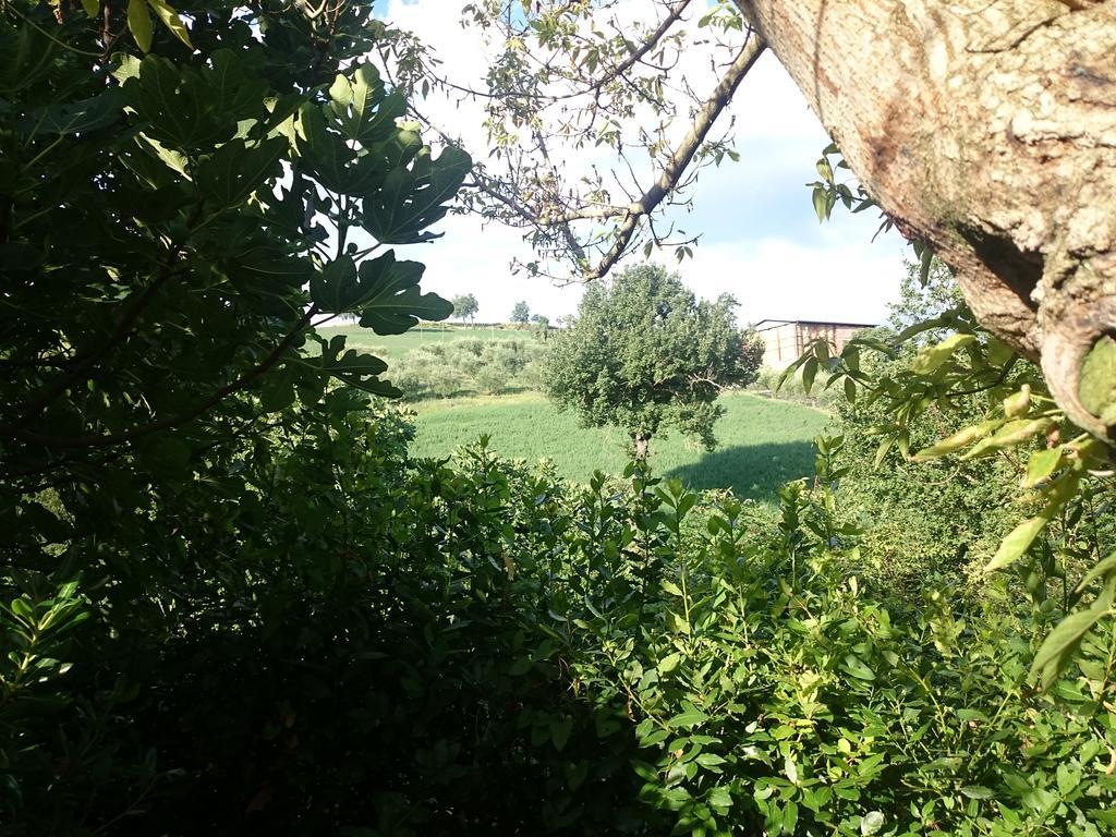 Country House Villa Sabrina San Ginesio Dış mekan fotoğraf